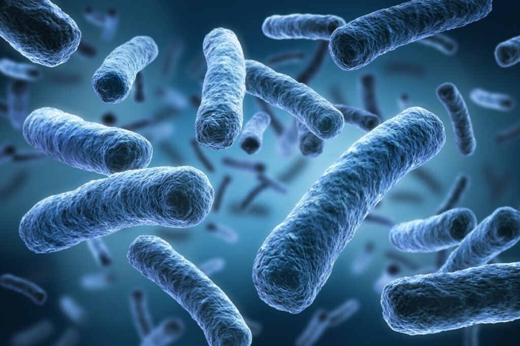 Quanti Batteri Ci Sono Nel Corpo Umano